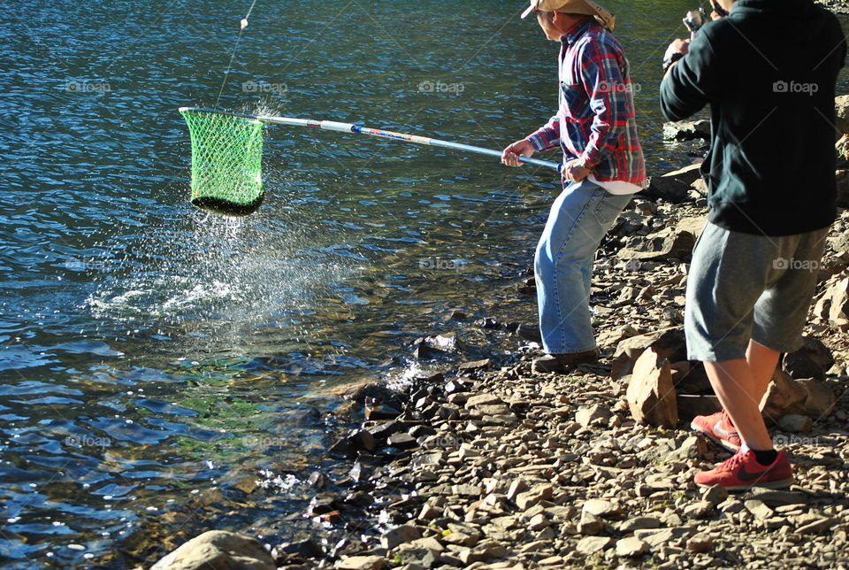 fish in net by the lake