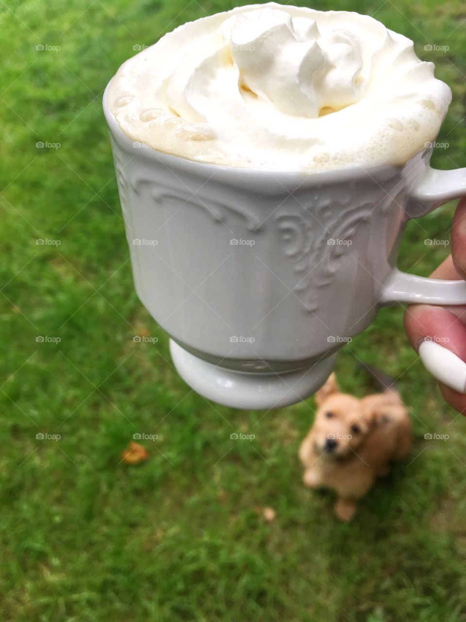 Funny dog and the cup