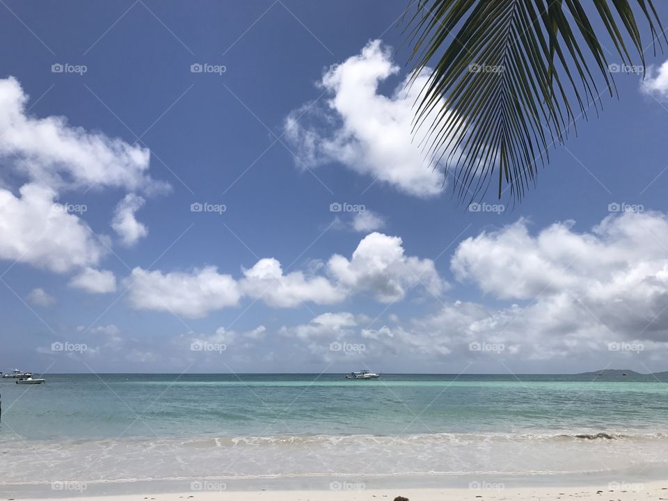 Beach in Praslin