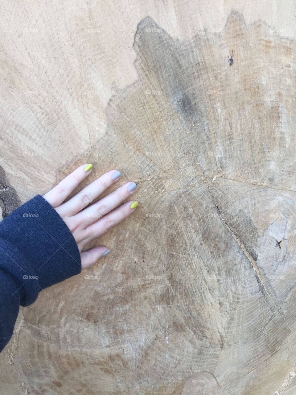 Hand on tree. Walking through park in Easton, Pa