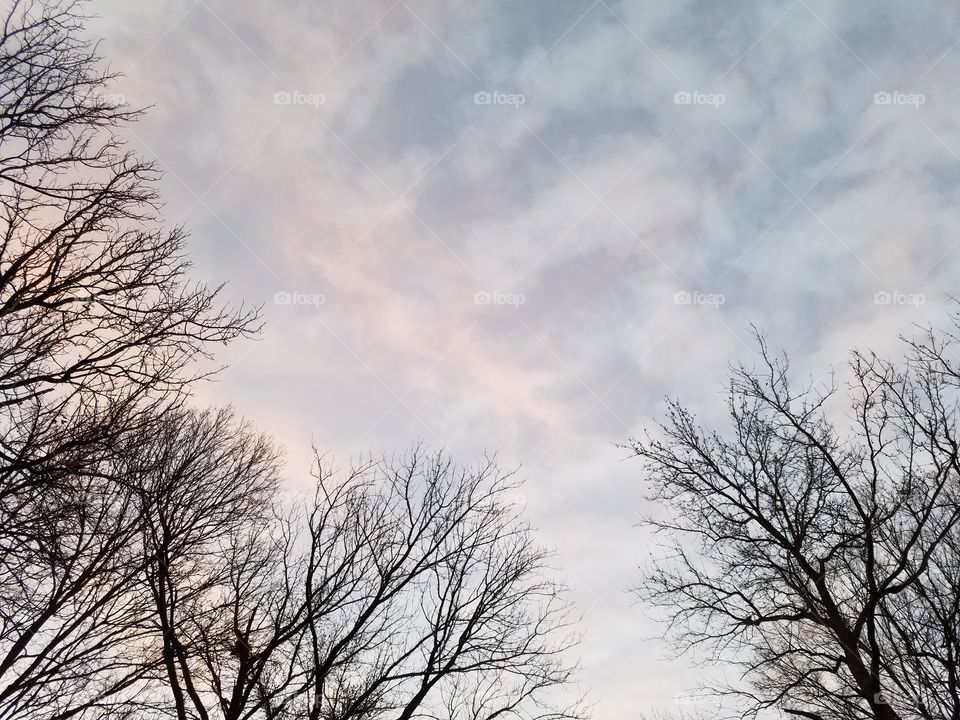 Trees encircling colorful clouds