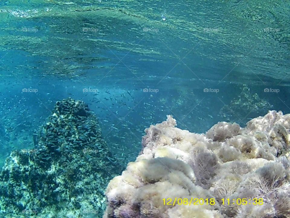 underwater of kaş antalya Turkey