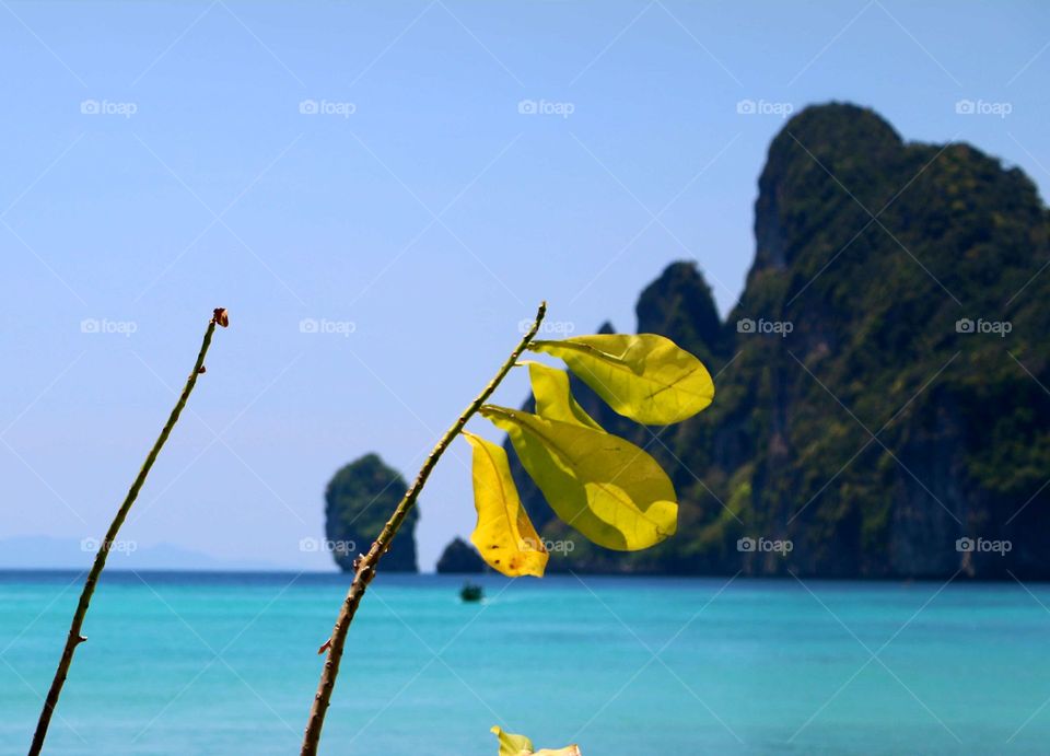 Let the Vacation begin.