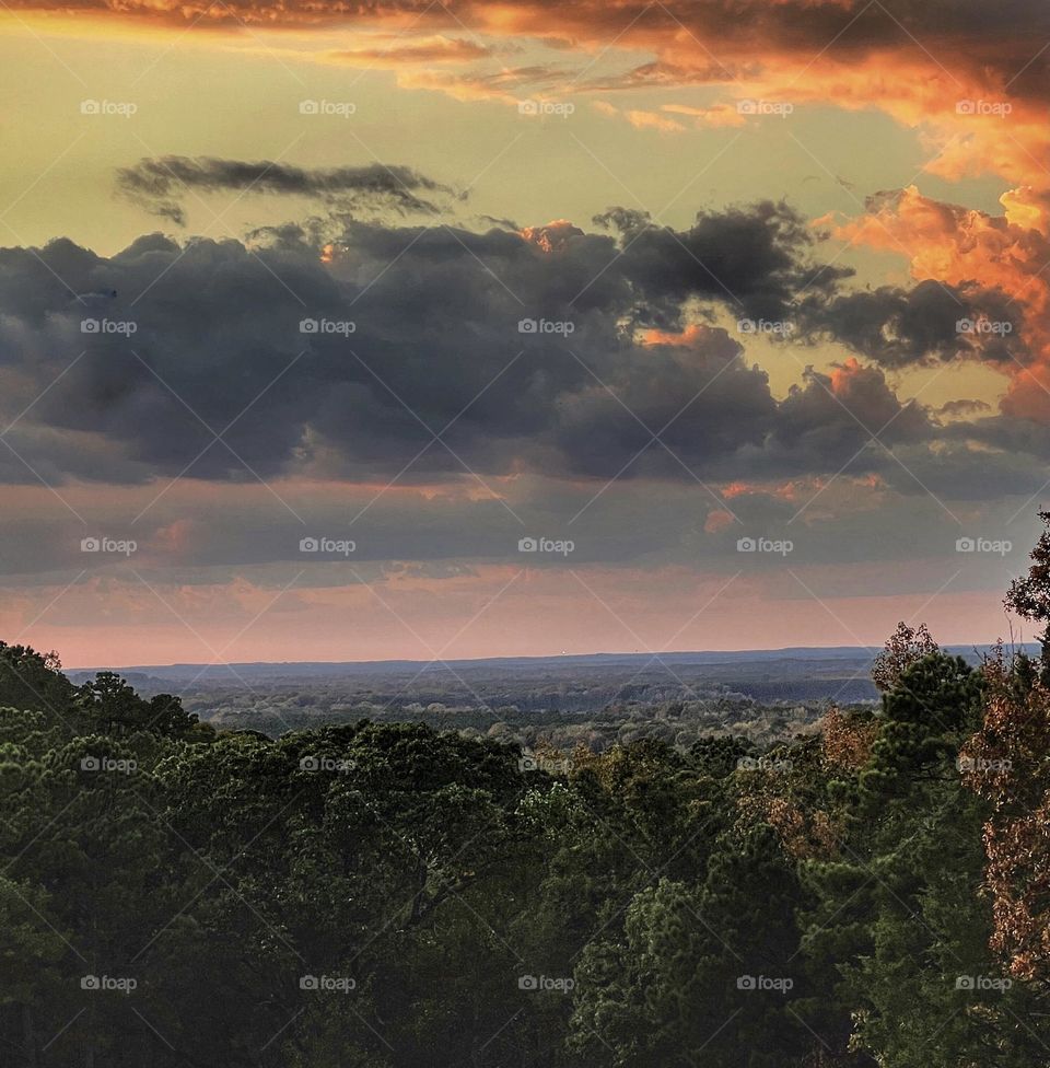 Sometimes, those quick snaps can produce the most beautiful canvas.