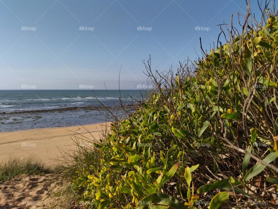 take your time in the good place