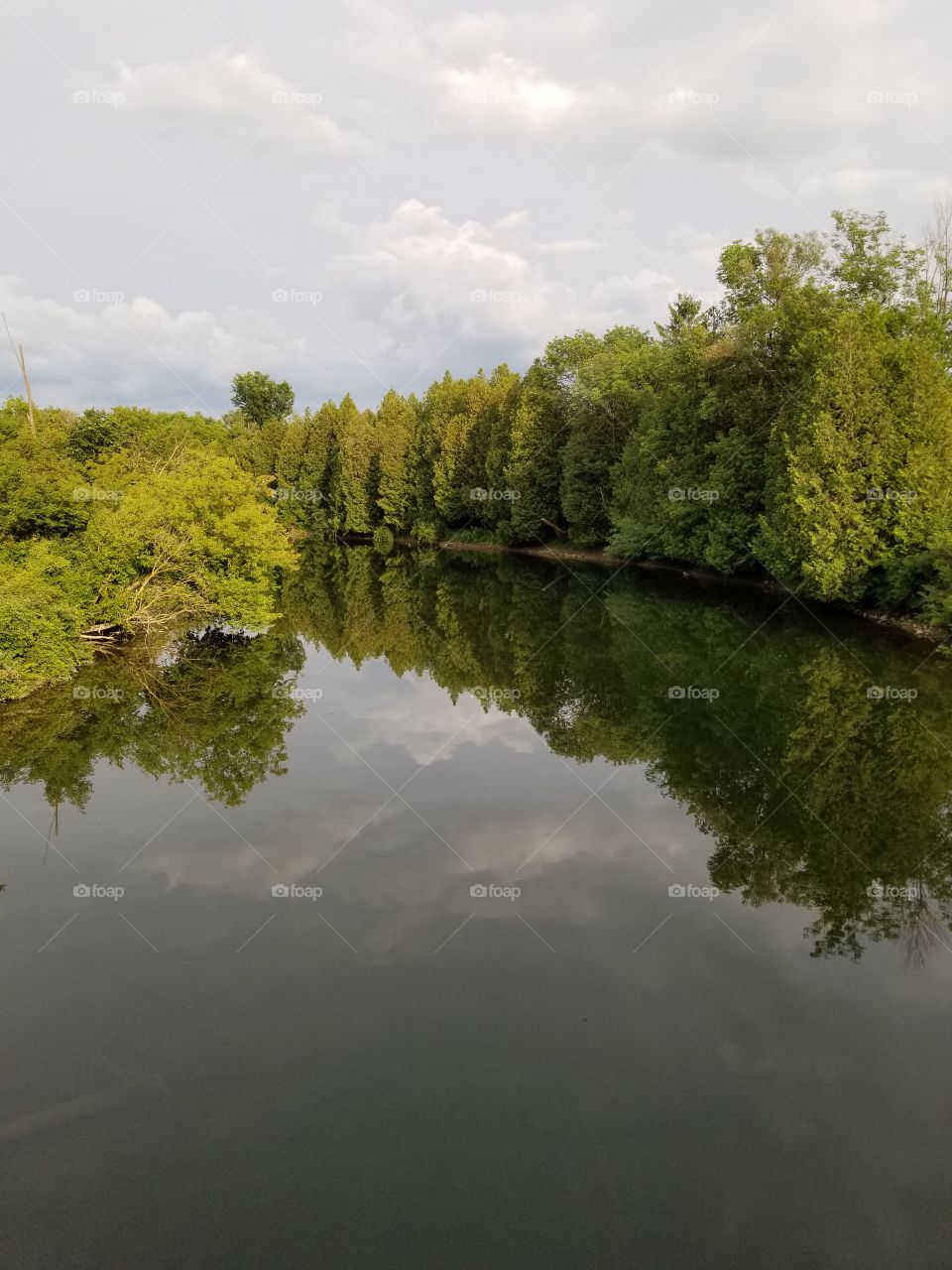 reflection perfection