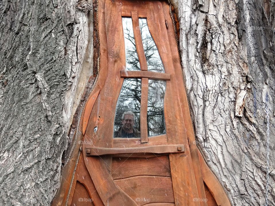 Doors on a tree