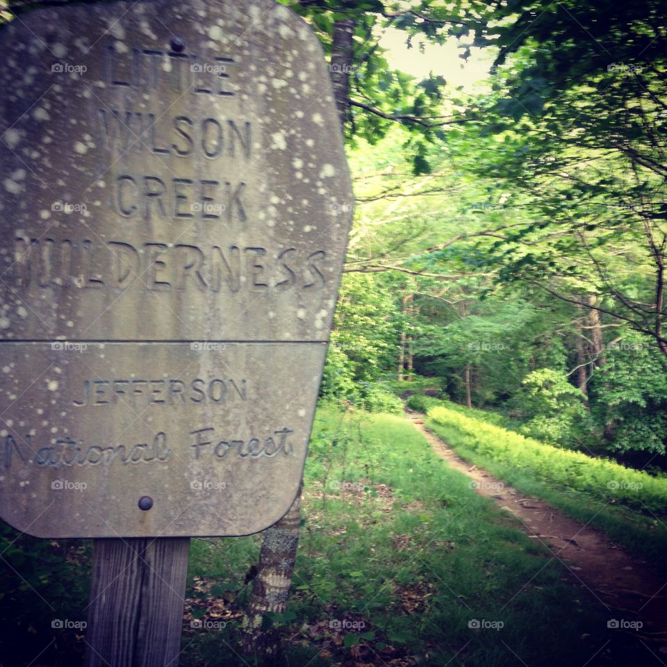 Trail Sign in Virginia