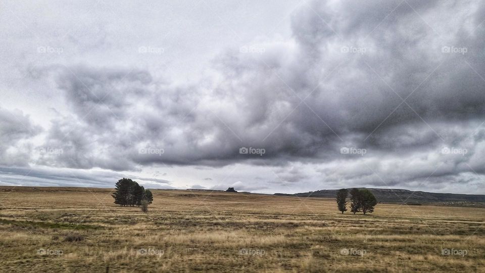 taken in motion, beautiful landscape and scenery of the karoo South Africa