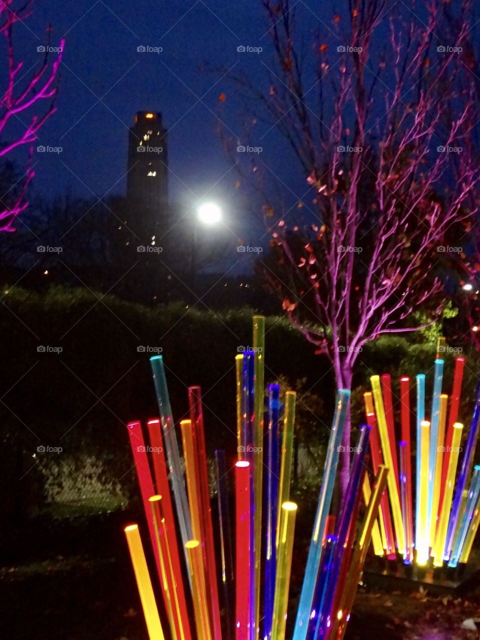 Light Tubes and Trees





