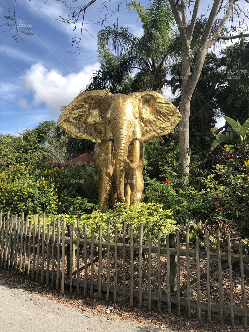 Elefante dorado 