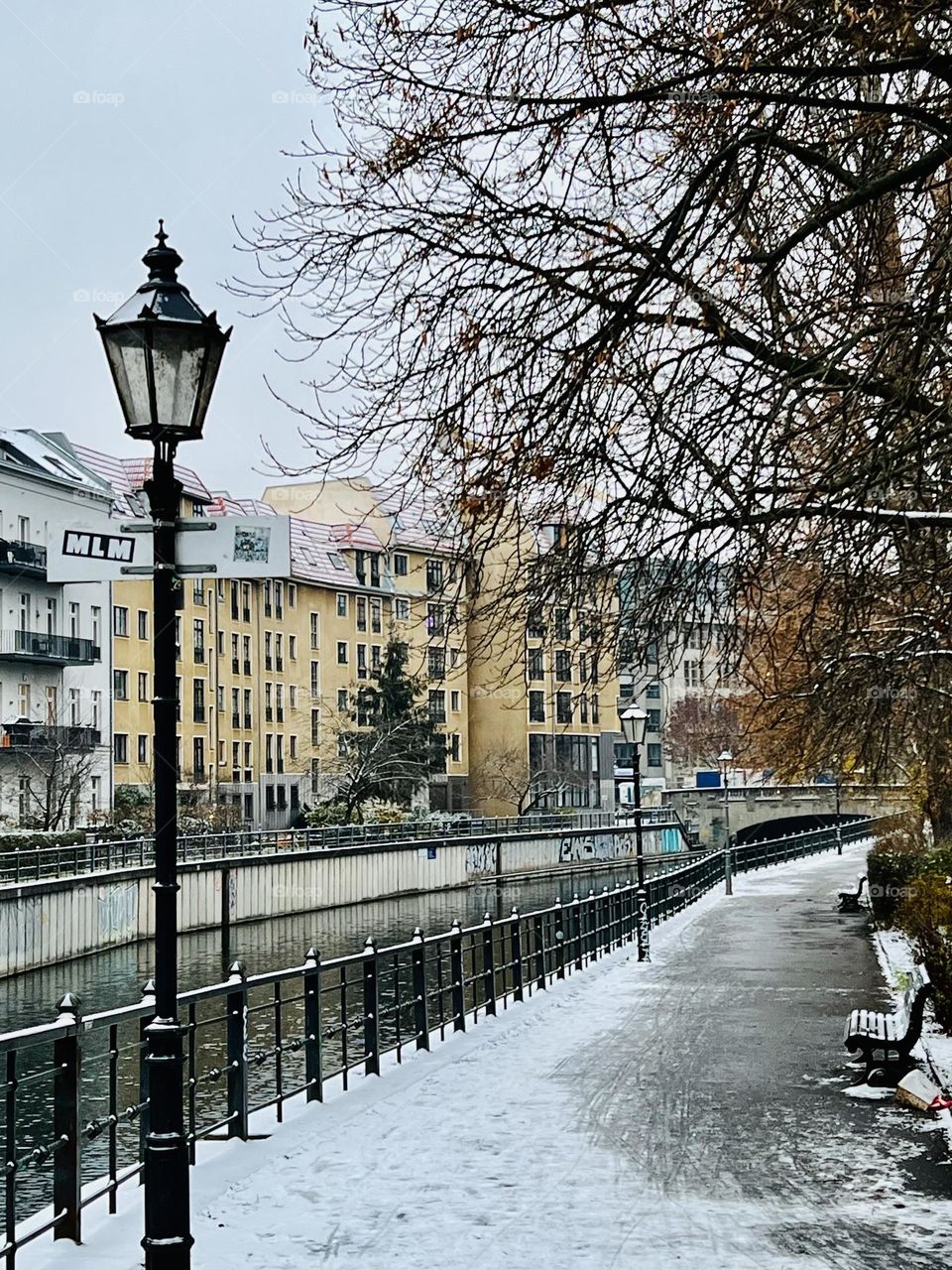 Snow at the park