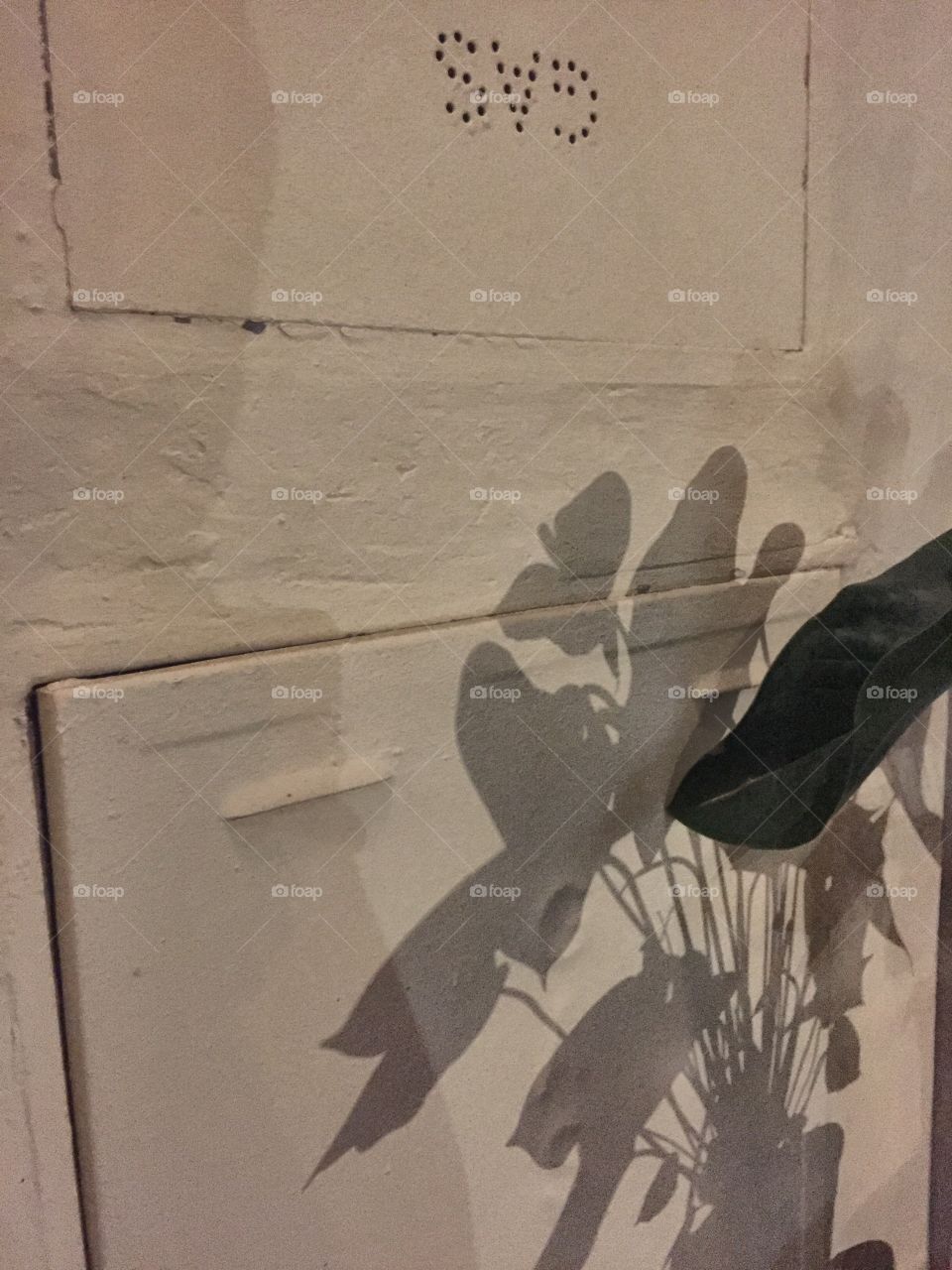 People, Adult, Wear, One, Man