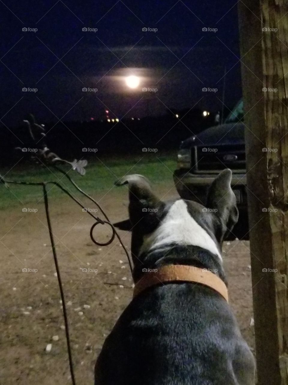 Fiona looking at the moon