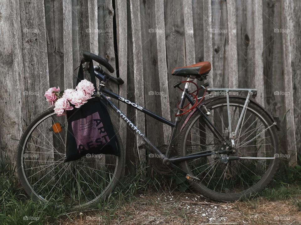 An aesthetic photo of one bicycle and a bouquet of the first summer pylons in the village