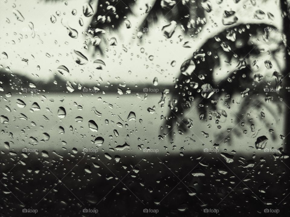 raindrops on car window