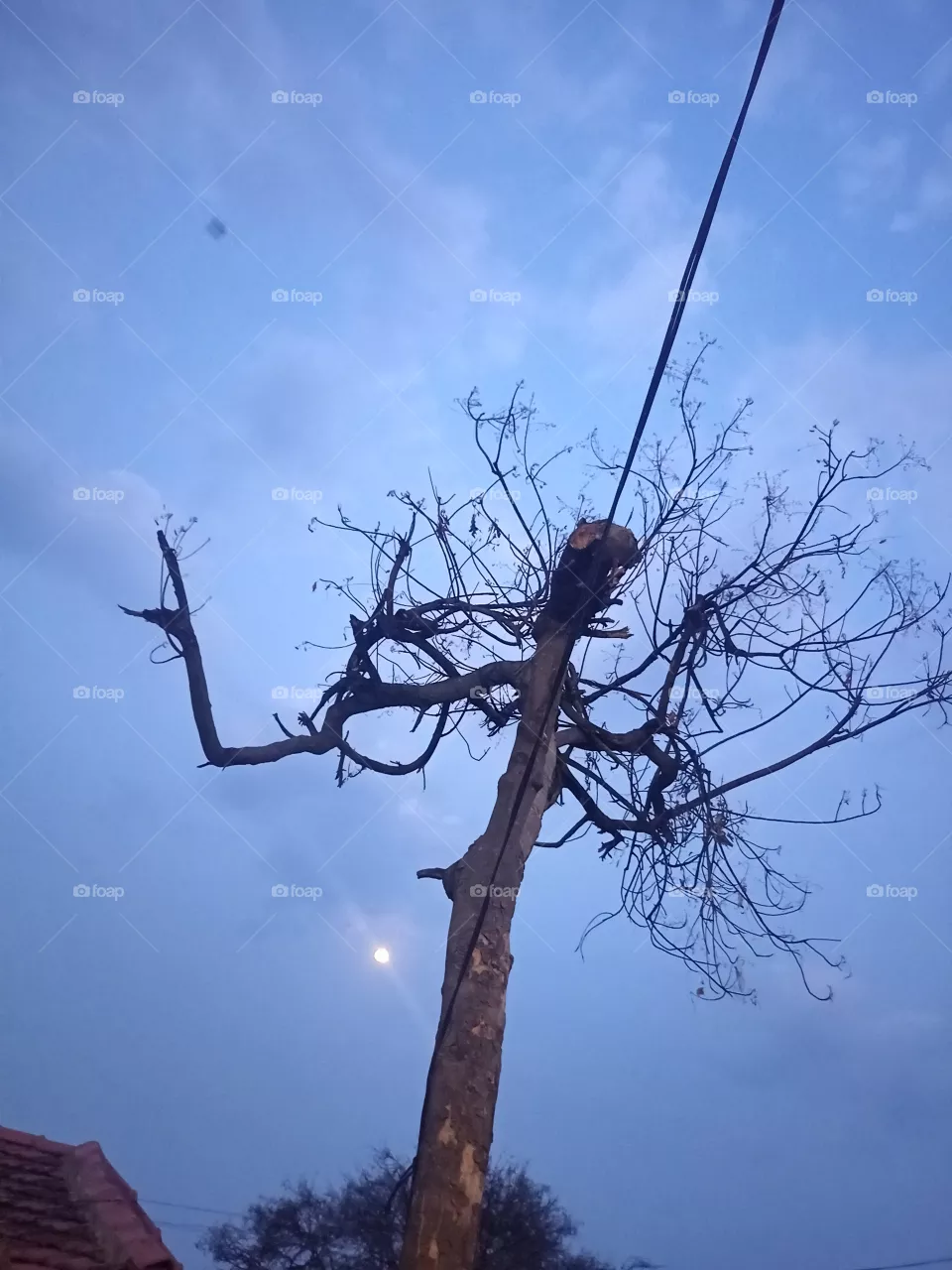 sky