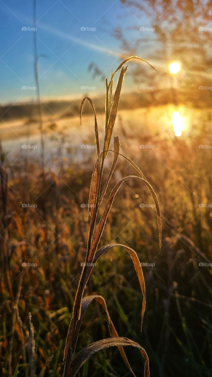 frosty morning by the lake