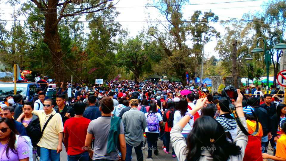 Crowd