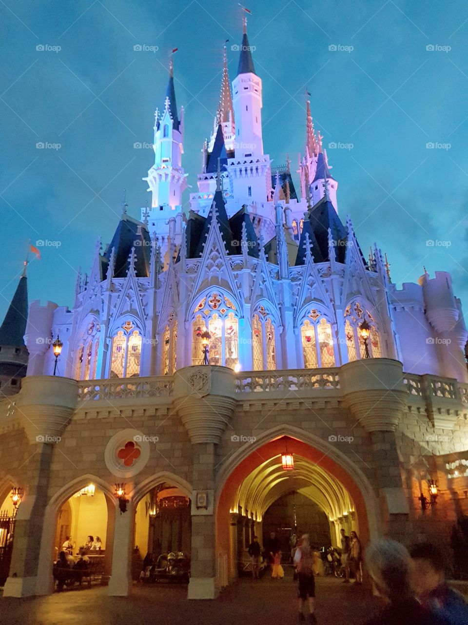 Cinderella Castle