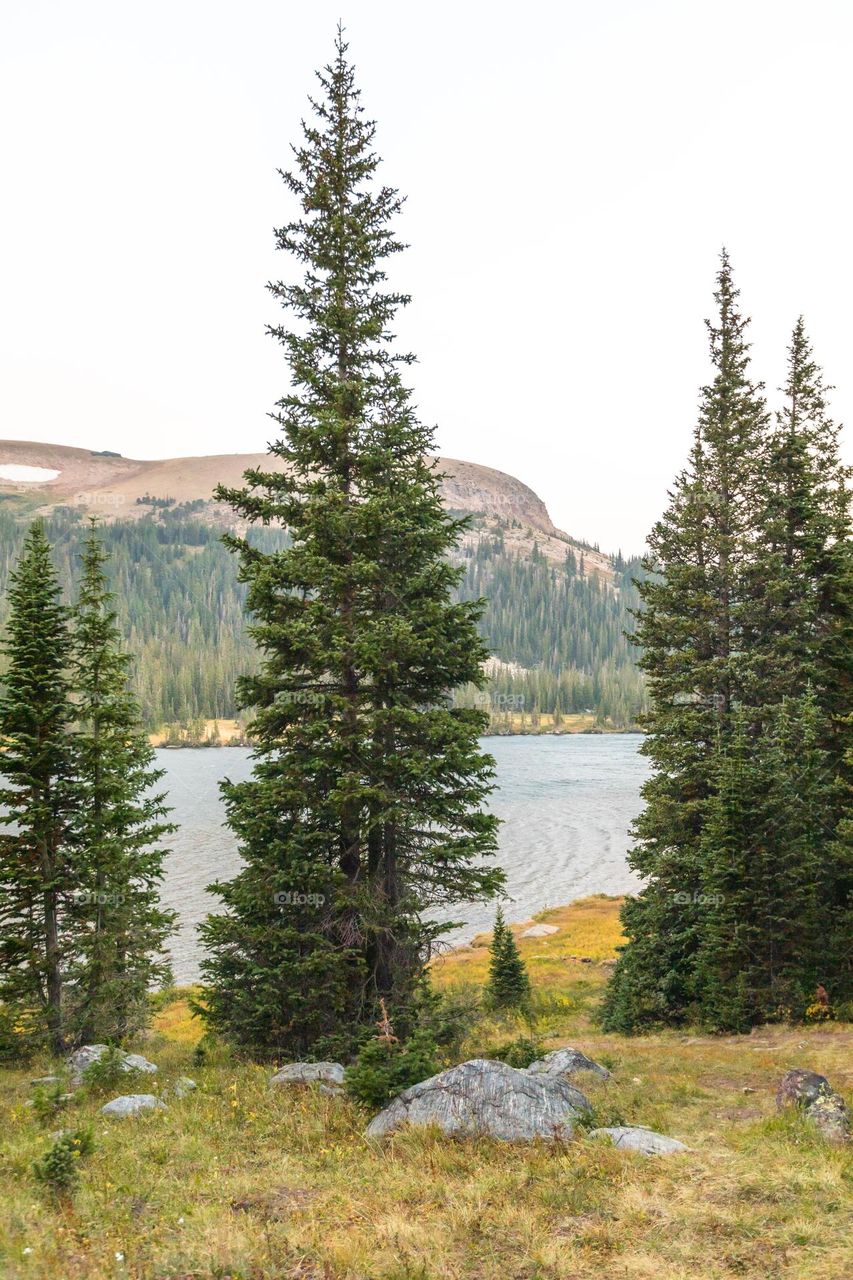 Mountain scenery 