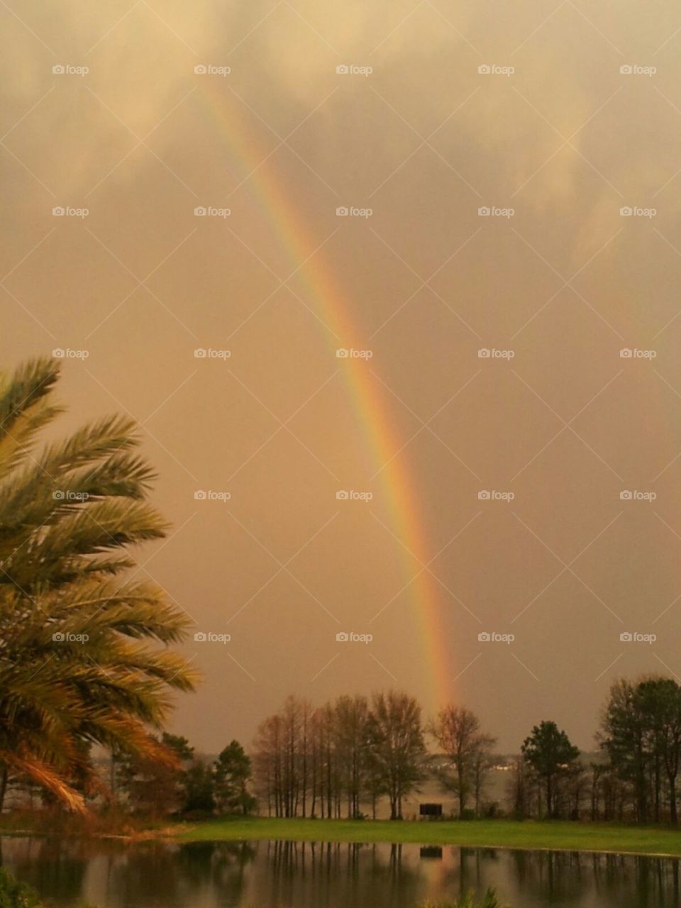 Rainbow after storm. Lake Conroe, Texas