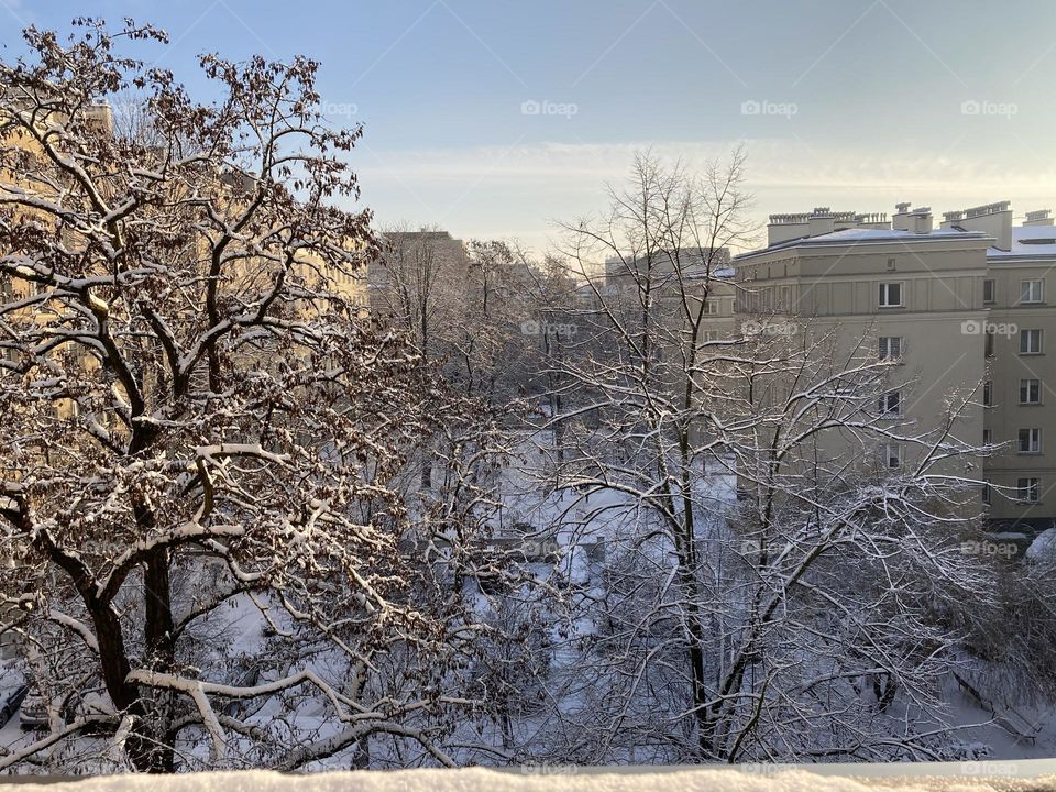 Winter window view in the city snow on the branches and around the city 