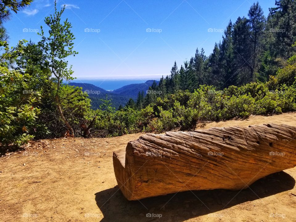 This is what it looks like from the top