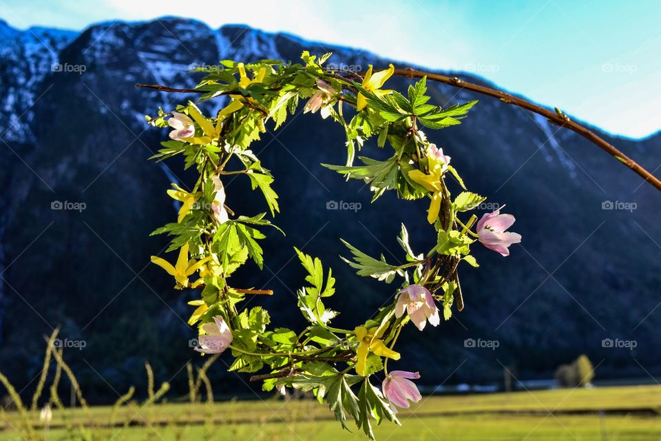 Flower crown 