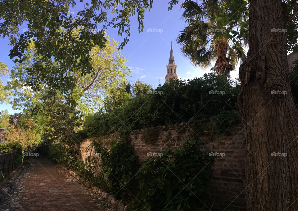  Charleston Alleyway 
Charleston, SC