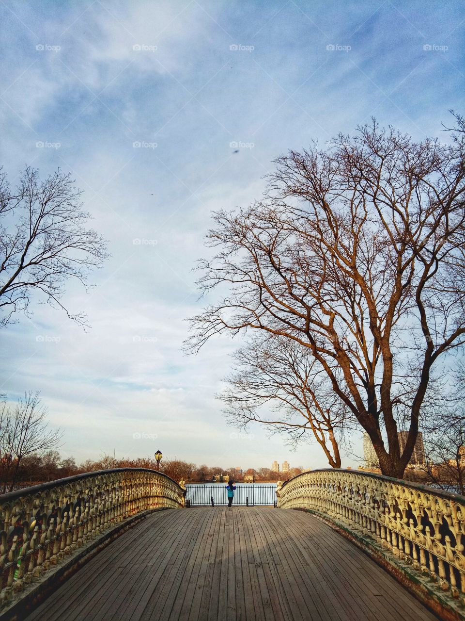 Beautiful bridge near at reservoir during winter in New York. The day was bright.