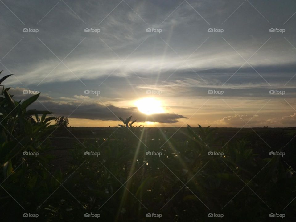 Sunset at the countryside