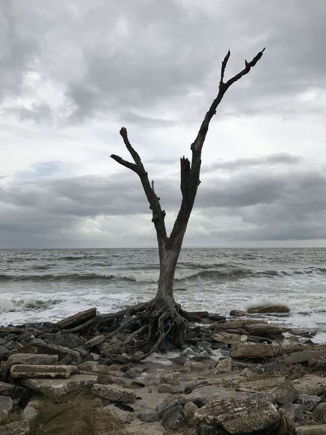 Storm clouds 4