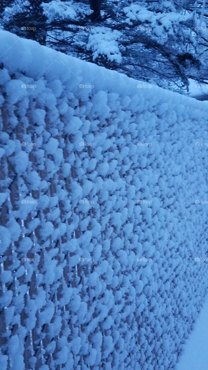 Blanket of snow