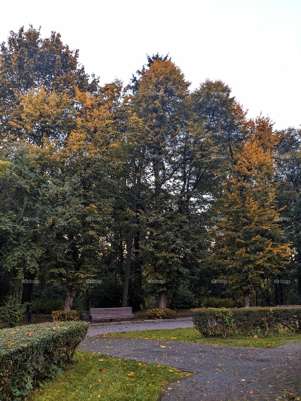 Autumn mood at the park