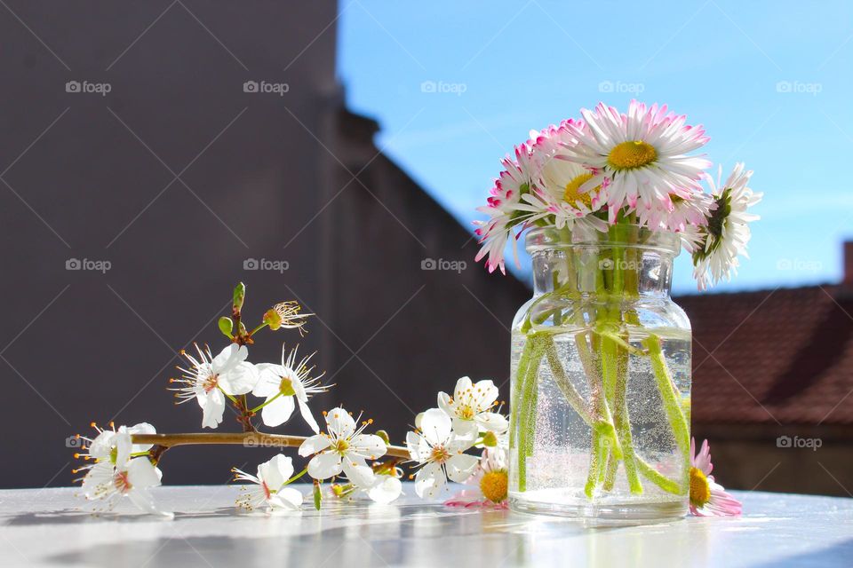 Small glass vase with first spring flowers,  Daisies on a wooden table.  sunlight