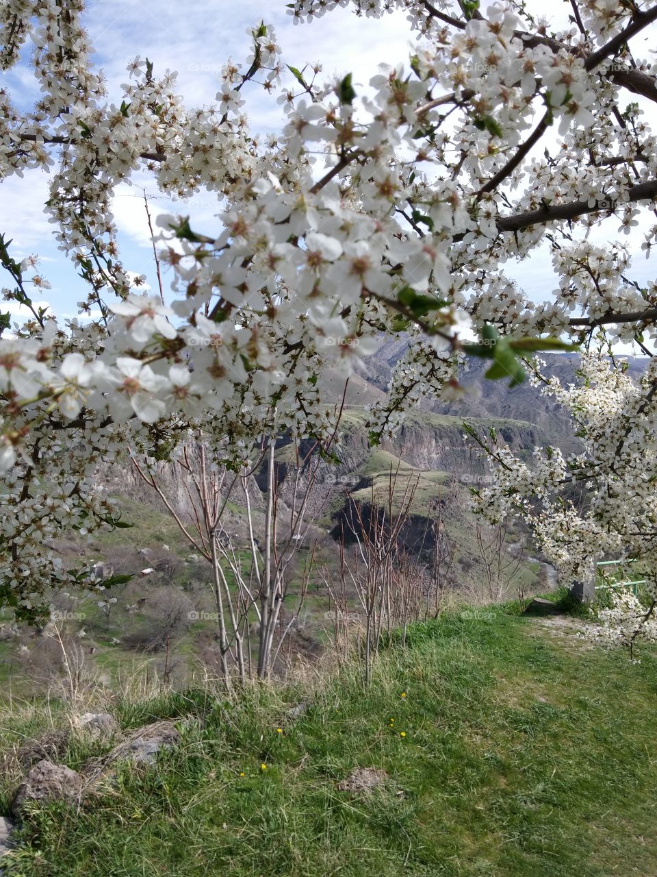 Garni canyon