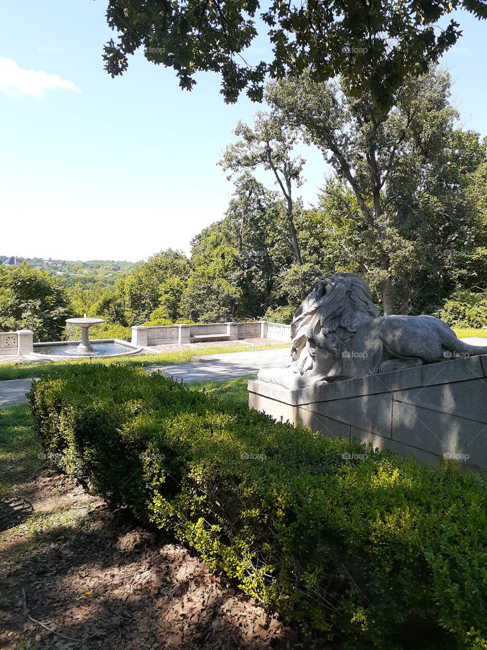 Stone Lion Overlooking Fountain