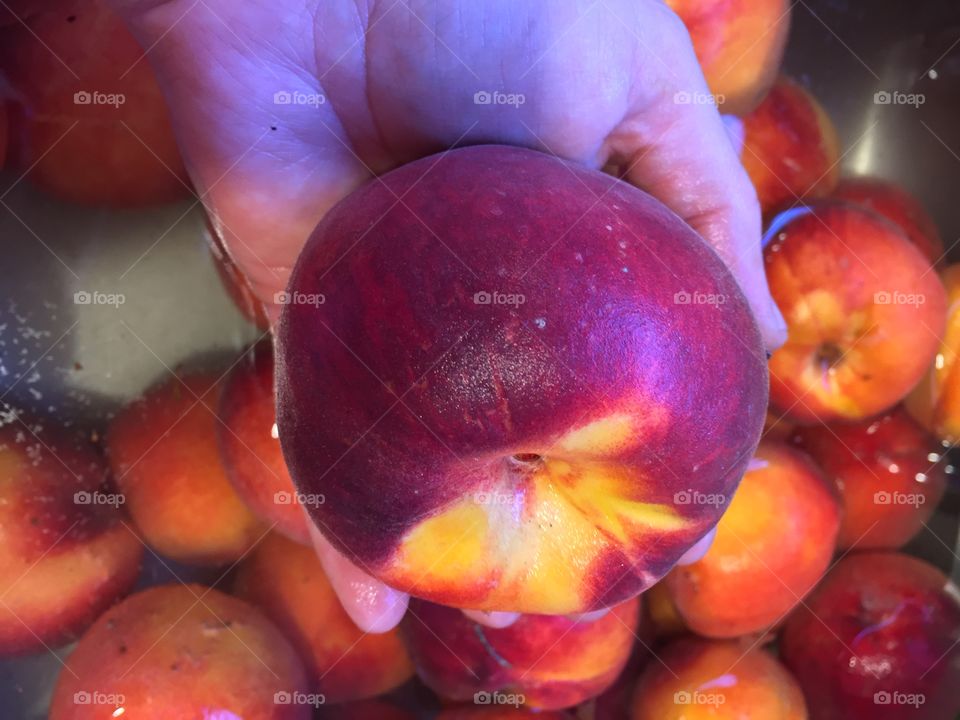 A nectarine in the hand