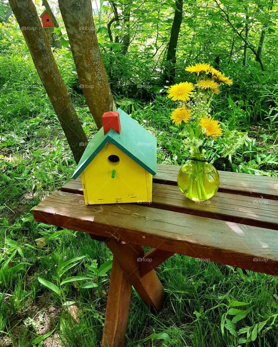 Birdhouse and flowers 