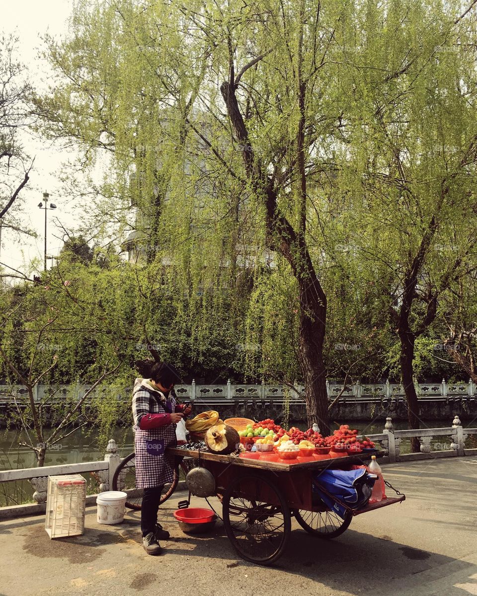 Fruit vendor in China 2016