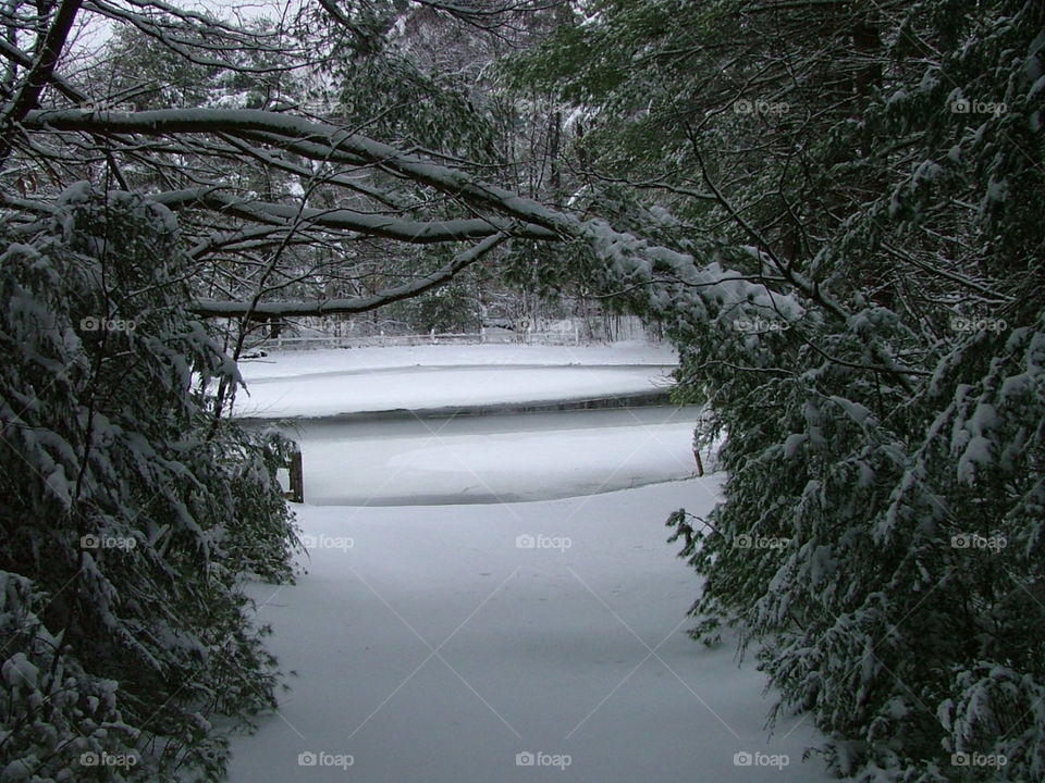 Frozen Pond