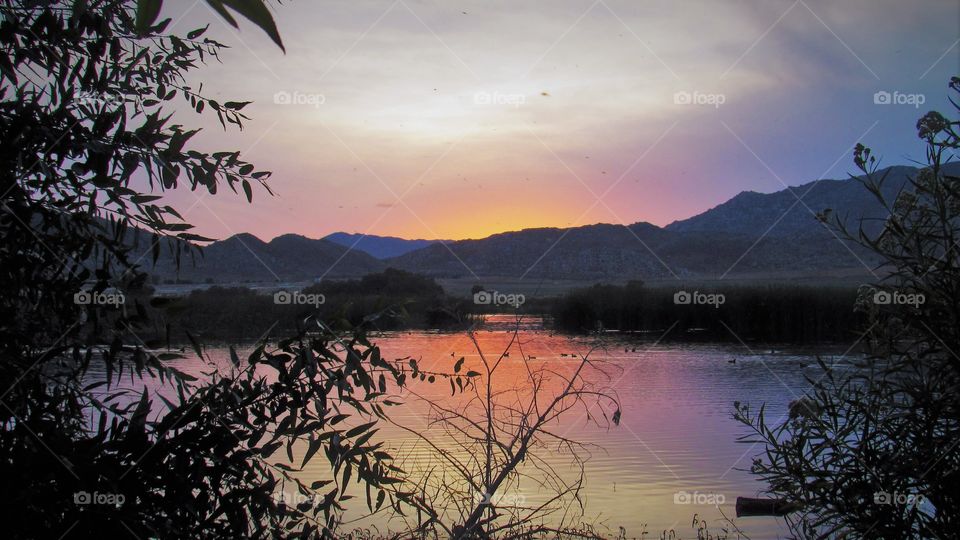 San Jacinto Wildlife Area duck pond at sunset 