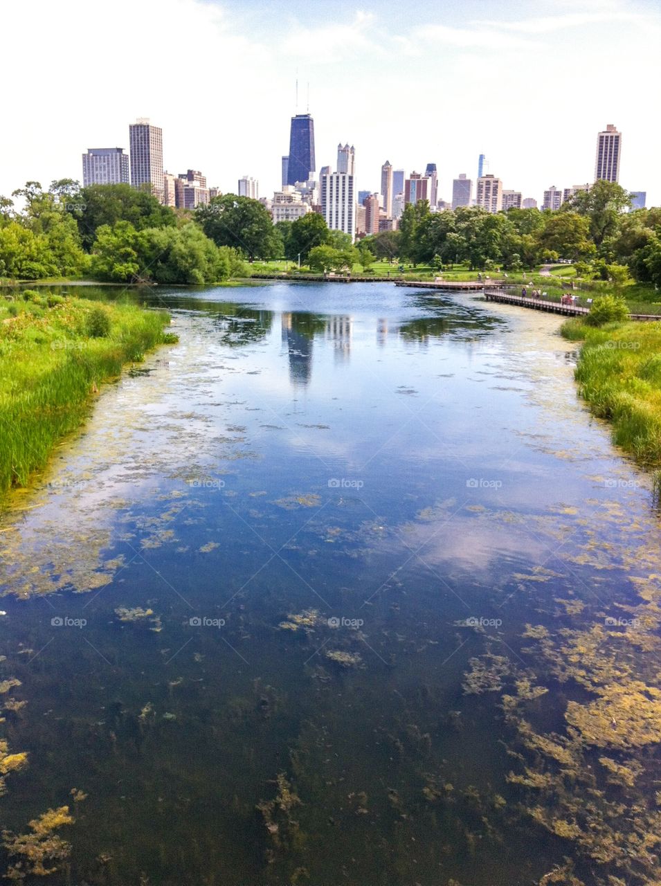 Chicago From the North