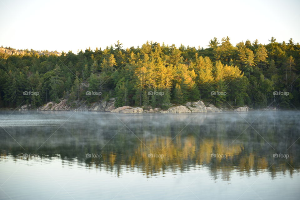Trees reflected on pond at algonquin provincial park