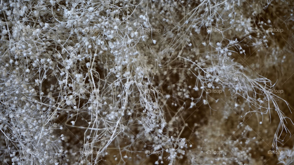 Grey may look sad but another look it so bright and so freshly 