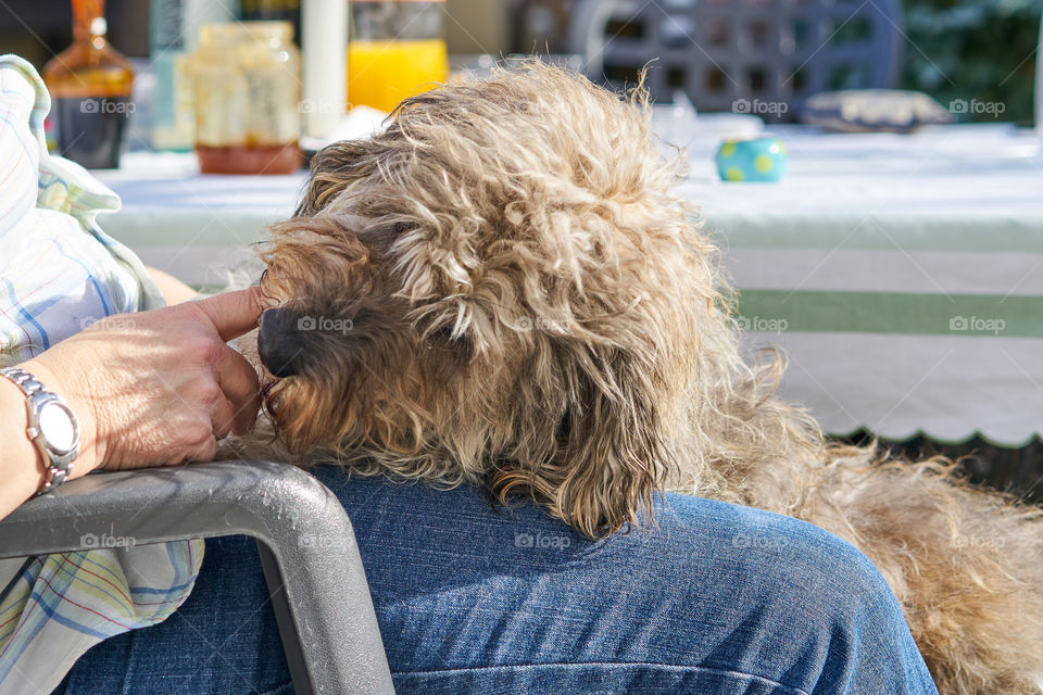 Dog sitting near owner