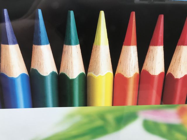 Sharpen your pencils we were always reminded to do at school, these are ready for a child’s imagination to be created on paper.