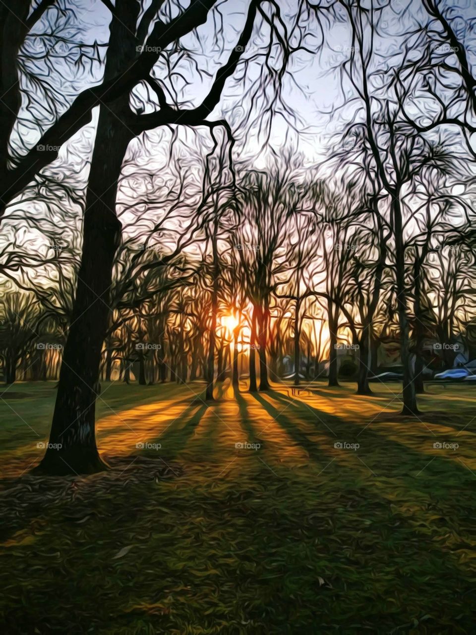 Sunrise in Bush park