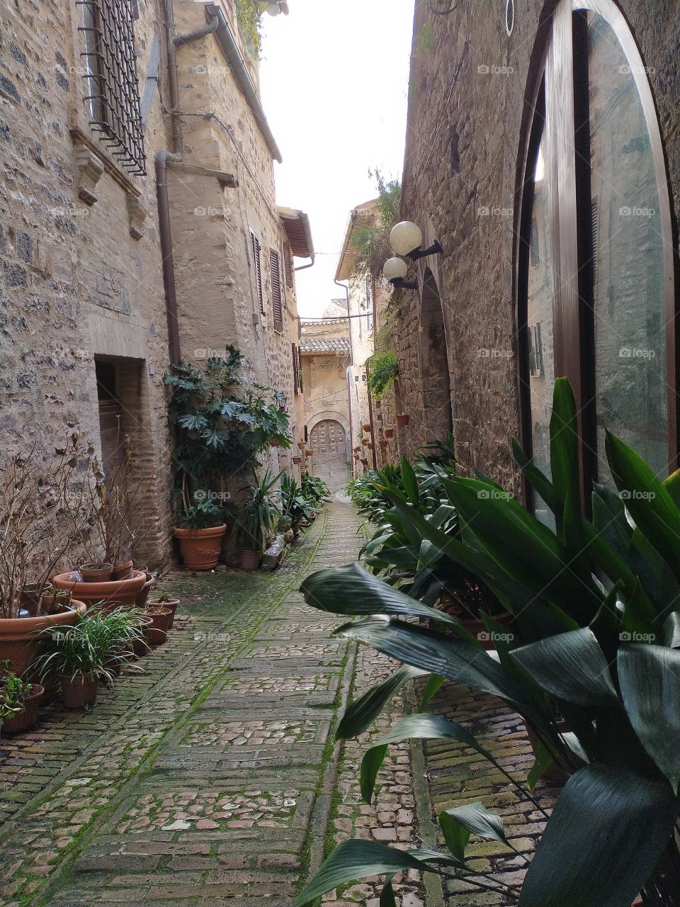 Spello
